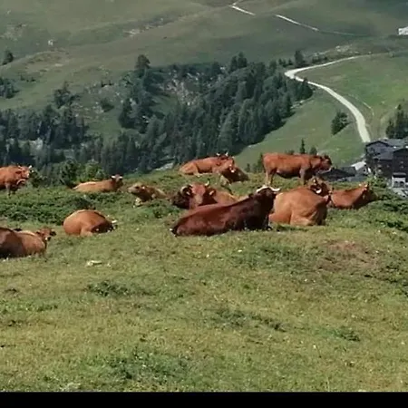 Appartamento Au Pied Des Pistes Avec Vue Sur La Montagne Mieussy
